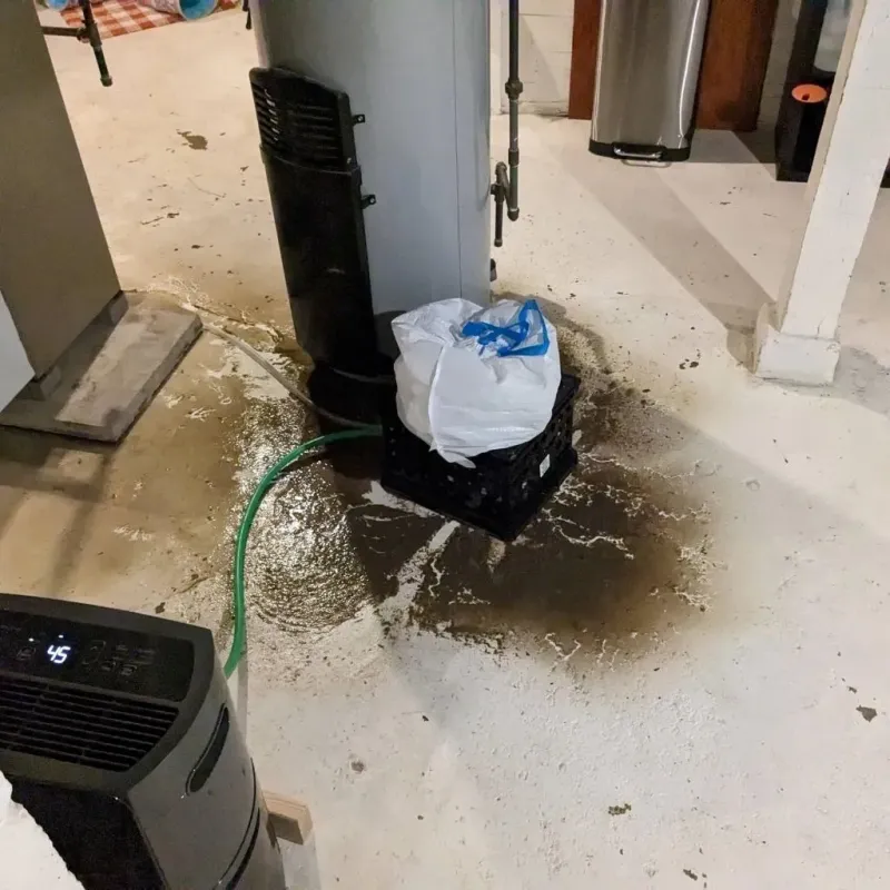 Sewage Backup Cleanup Service in Alexander City, AL
